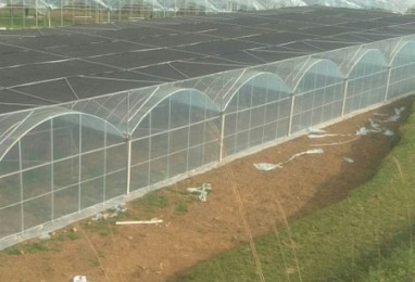 连栋温室建造的原则是什么？