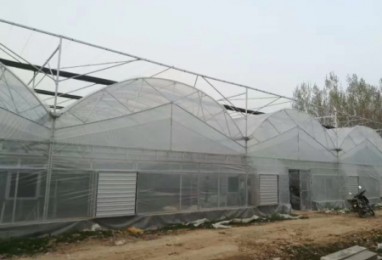 薄膜温室大棚的更换方法