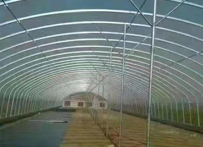 插地养殖棚