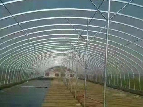 插地养殖棚
